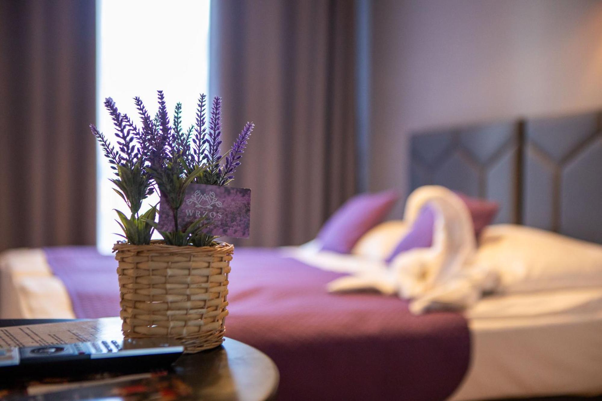 Wrzos Resort & Wellness Wegierska Gorka Esterno foto